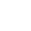 icon in ear